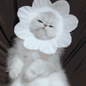 18🈲🍆无套直播
